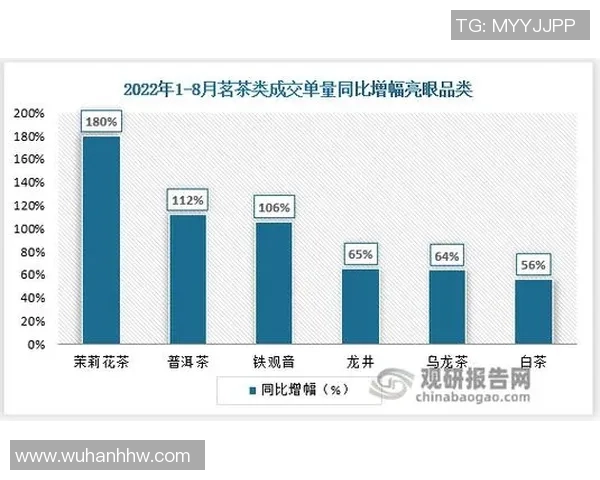 广州排球队技术分析与战术创新的深度探讨与展望
